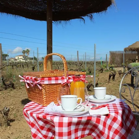Homestay Moment's In Nature