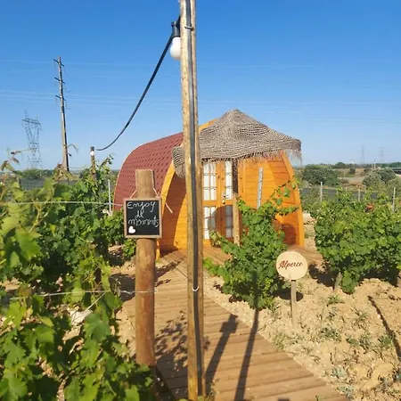 Moment's In Nature - Bangalows Wine & Tapas 民宿 帕尔梅拉