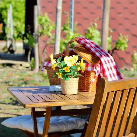 Moment's In Nature Vineyard Pool & Jacuzzi * Palmela