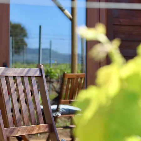 Moment's In Nature Vineyard Pool & Jacuzzi *