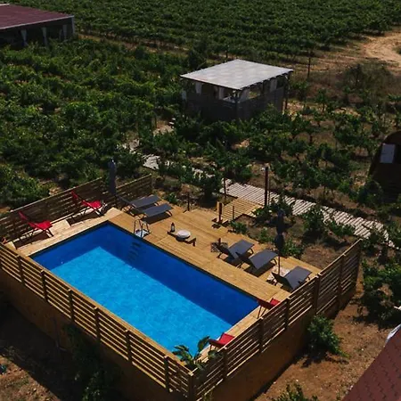 Moment's In Nature Vineyard Pool & Jacuzzi ホームステイ