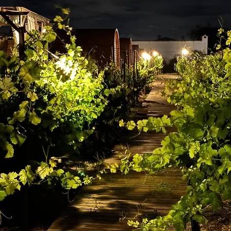 Moment's In Nature Vineyard Pool & Jacuzzi