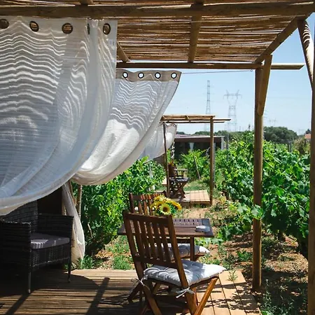 Moment's In Nature Vineyard Pool & Jacuzzi *