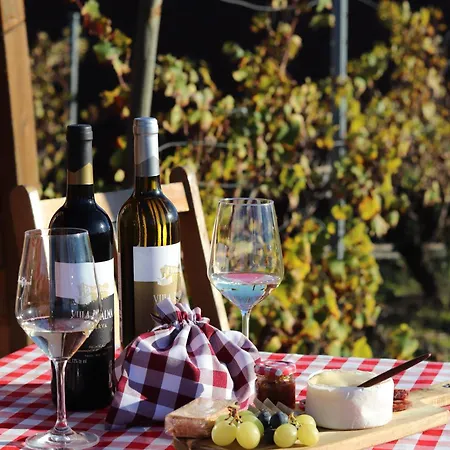 Privat bolig Moment's In Nature Vineyard Pool & Jacuzzi *