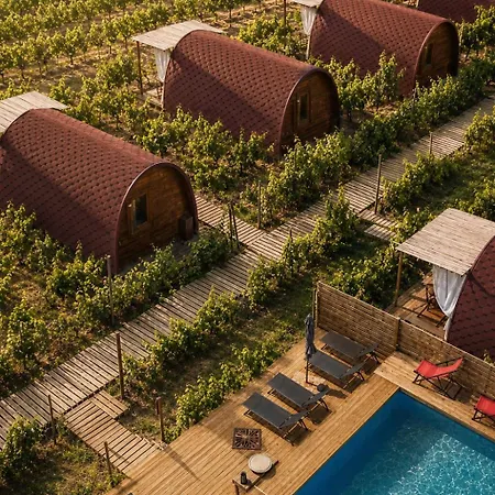 Moment's In Nature Vineyard Pool & Jacuzzi ホームステイ パルメラ