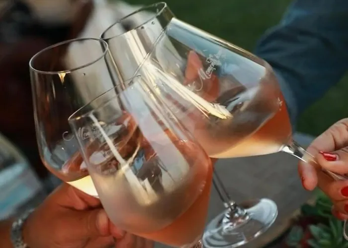 Moment's In Nature - Bangalows Wine & Tapas * Палмела